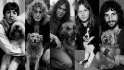 Artistas del rock y sus mascotas
